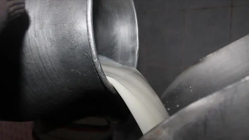 Çiğ sütte yeni fiyatlar. Sütün yağ ve protein oranı fiyatı etkileyecek
