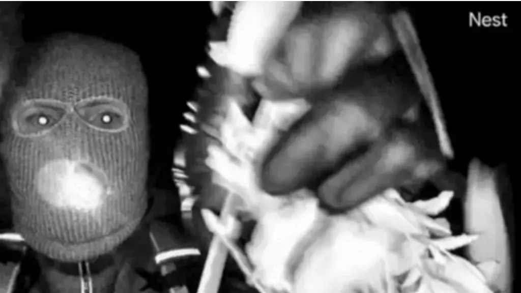 Epstein mağdurlarıyla röportaj yapmıştı. Annesi kaçırıldı, FBI görüntüleri yayınladı