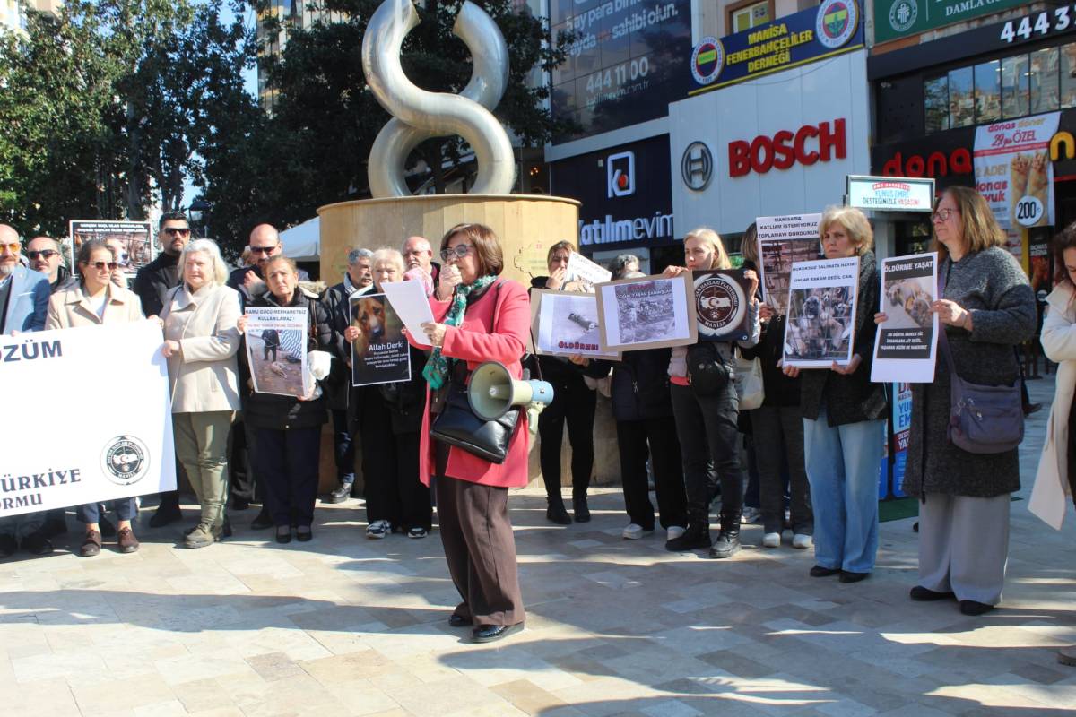 Manisa’da Hayvan Hakları İçin Ortak Çağrı: “Toplamayı Durdur, Yaşatmayı Seç”