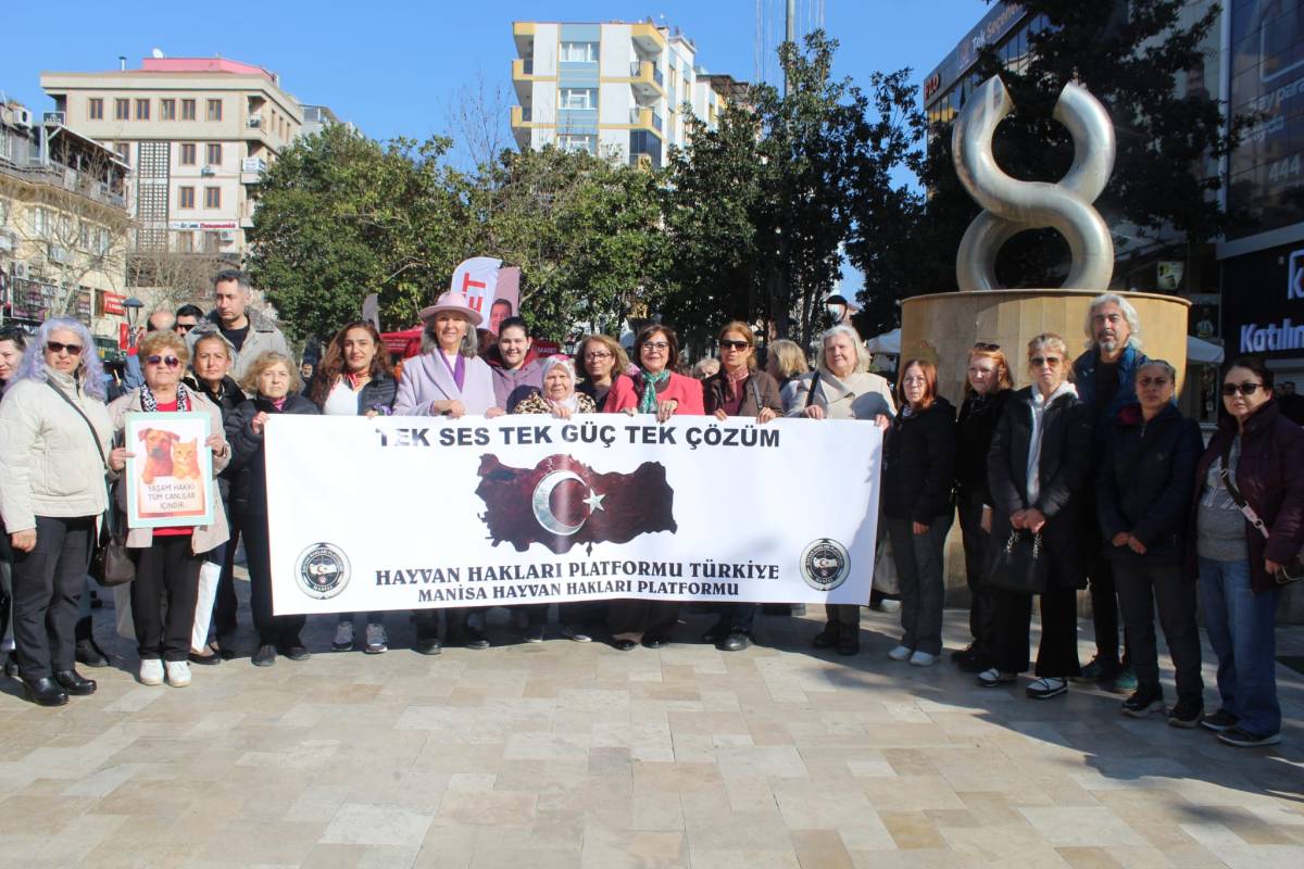 Manisa’da Hayvan Hakları İçin Ortak Çağrı: “Toplamayı Durdur, Yaşatmayı Seç”