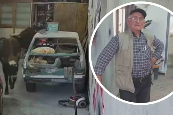 Danalar oto tamirciyi bastı, görgü tanığı: “Nazikçe geldiler, nazikçe gittiler”