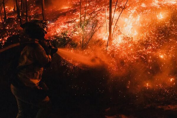 Japonya’da ormanlar yanıyor | NTV Haber