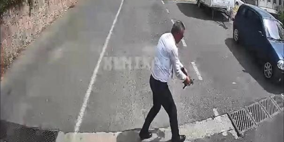 Otobüs şoföründen duyarlı davranış. Kaplumbağayı ezilmekten kurtardı