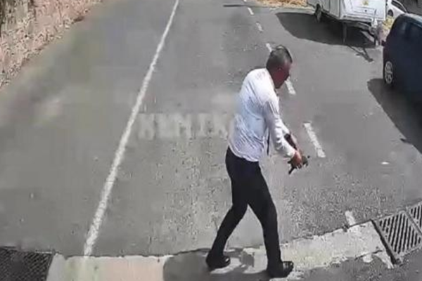 Otobüs şoföründen duyarlı davranış. Kaplumbağayı ezilmekten kurtardı