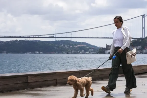 Hepsi bir arada geliyor. Hortum, dolu ve sağanağa dikkat! 5 gün yurdu esir alacak