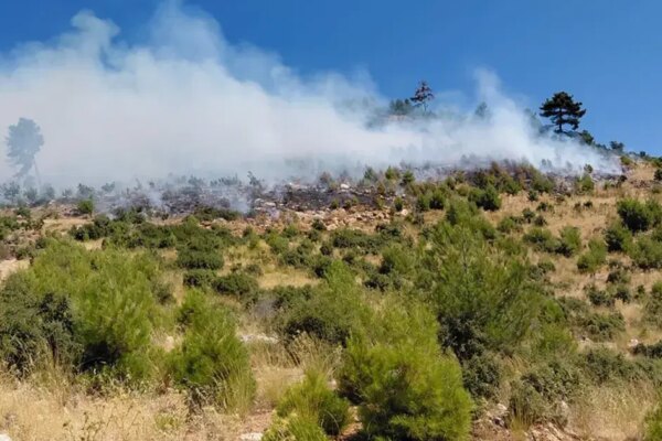 İzmir Kiraz’daki orman yangını kontrol altında