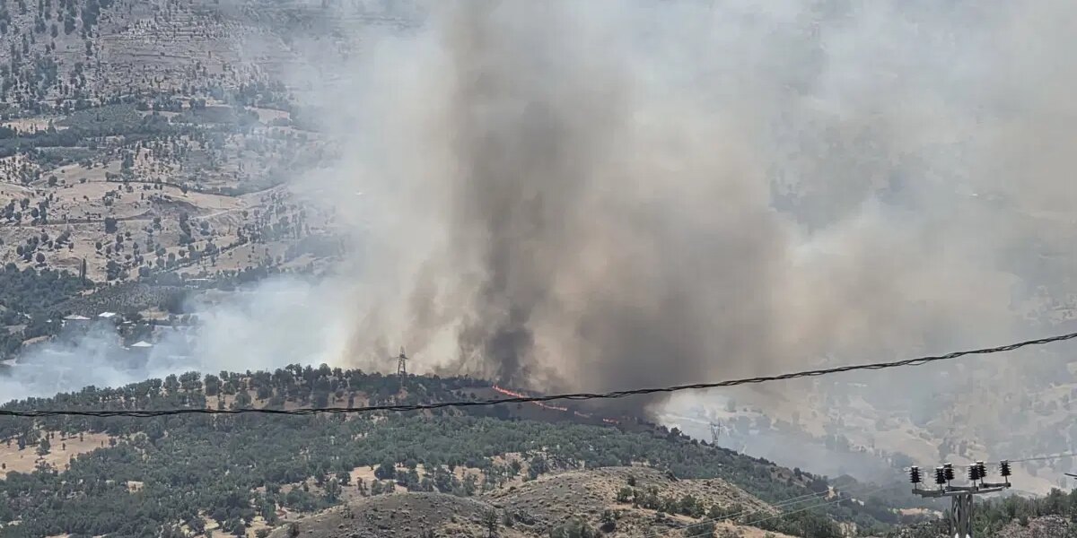 Adıyaman’da orman yangını. Ekipler müdahale ediyor