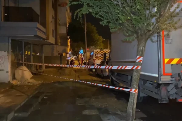Elektrik akımına kapılan köpek ölürken sahibi de yaralandı – Haber Hürriyeti