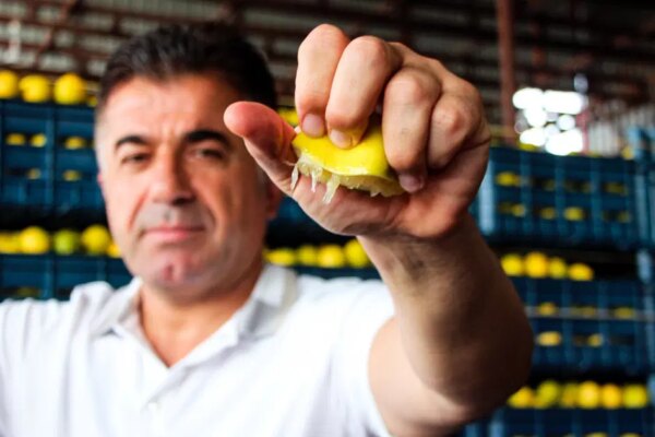 Bahçede 5 TL ama markette 100 TL’den alıcı buluyor. Tam 20 katlık fiyat uçurumu