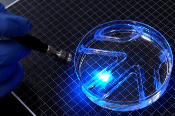Canlı kaslarla çalışan yüzücü robot geliştirildi. Hassas ortamların yeni keşif aracı olabilir