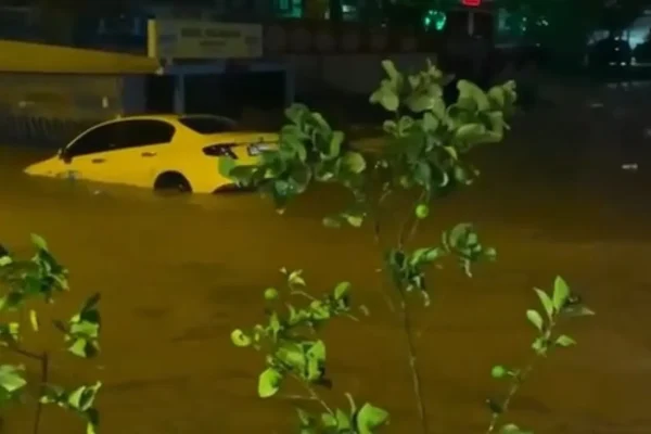 EKONOMİ