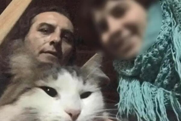 Kedileri beslemeyince acı gerçek ortaya çıktı